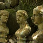 Terms of Beauty VII