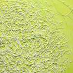 Spring-detail 2